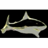 SHARK PINS GREAT WHITE PIN